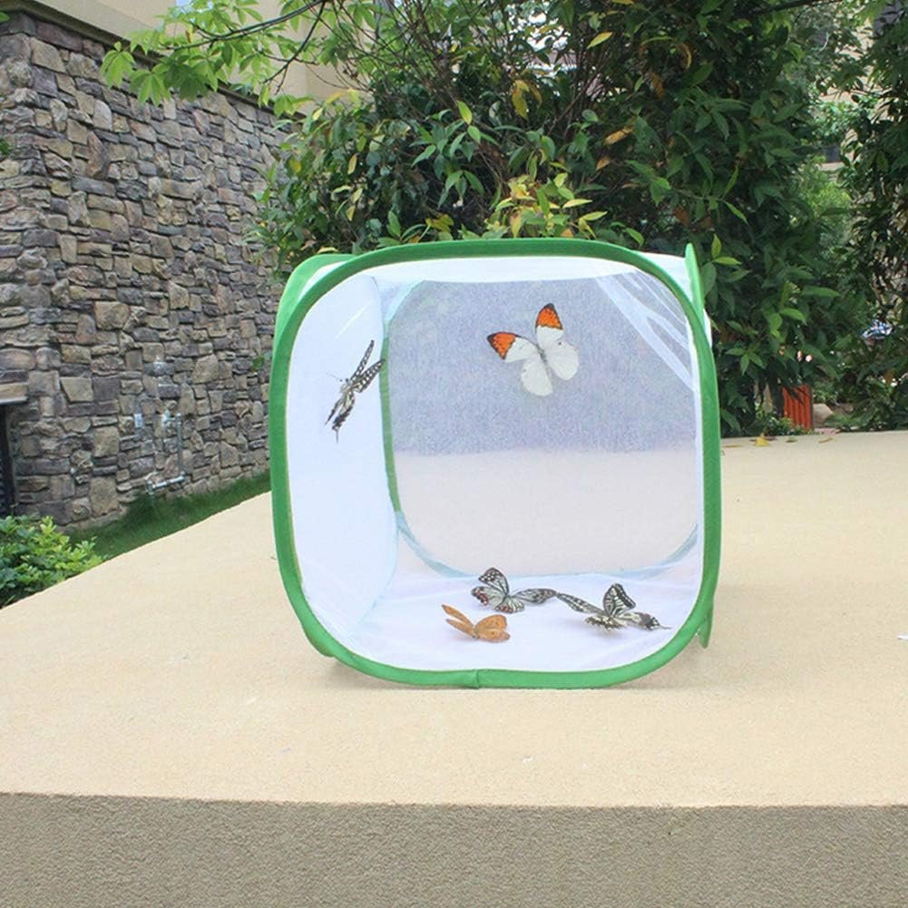 Folding Insect and Butterfly Habitat Screen Cage Incubator for Cultivation (6)